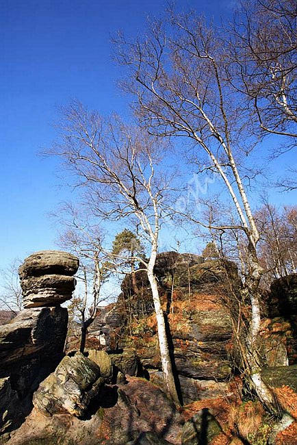 IMG0108111.jpg