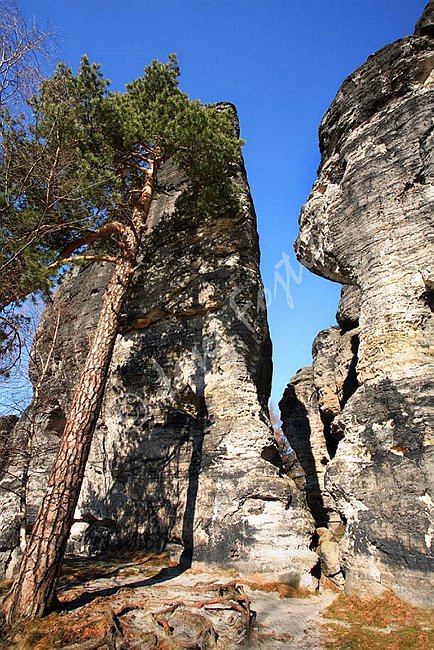 IMG0108165.jpg