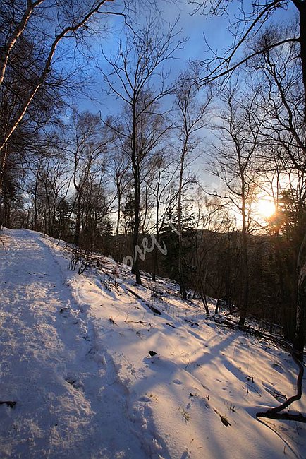 IMG0108413.jpg