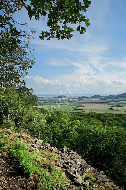 IMG0103764.jpg