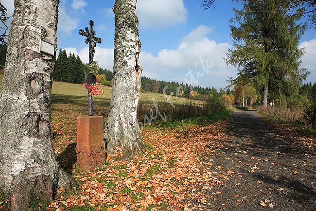 IMG0106264.jpg