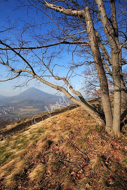 IMG0107712.jpg