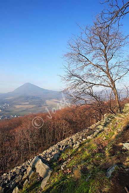 IMG0107729.jpg