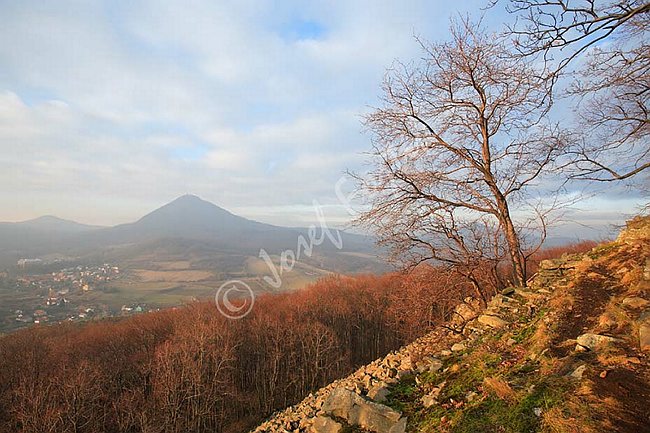 IMG0107815.jpg
