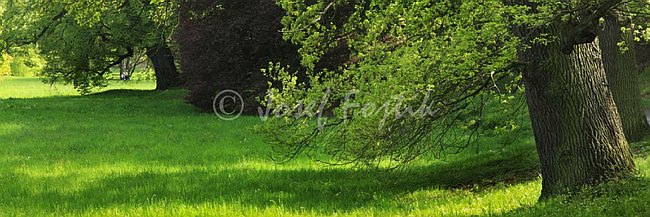 IMG0140771_pan_3.jpg