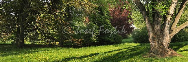 IMG0140921_pan_3.jpg