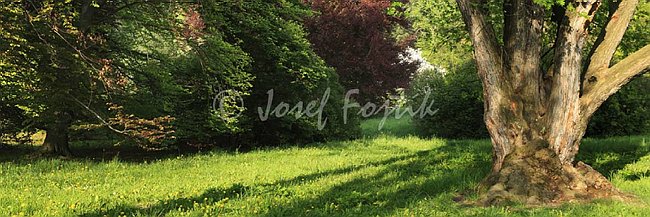 IMG0140922_pan_3.jpg