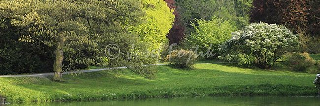 IMG0140932_pan_3.jpg