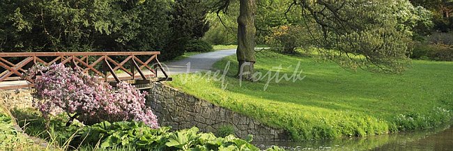 IMG0140937_pan_3.jpg