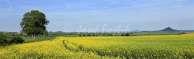 IMG0158106_pan_325.jpg