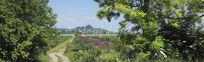 IMG0158206_pan_325.jpg