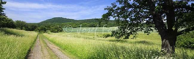 IMG0158248_pan_325.jpg