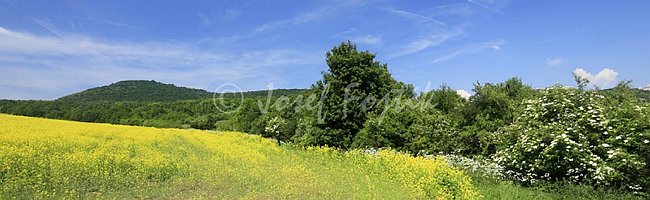 IMG0158250_pan_325.jpg