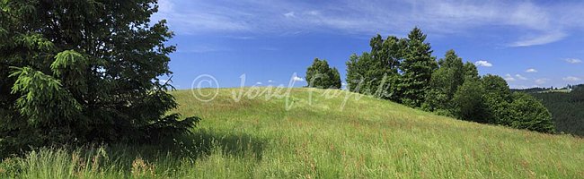 IMG0158529_pan_325.jpg