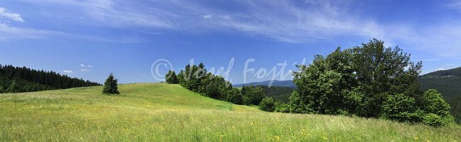 IMG0158532_pan_325.jpg