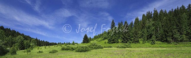 IMG0158541_pan_325.jpg