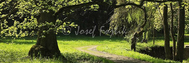 IMG0140809_pan_3.jpg