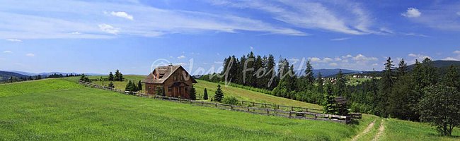 IMG0158561_pan_325.jpg