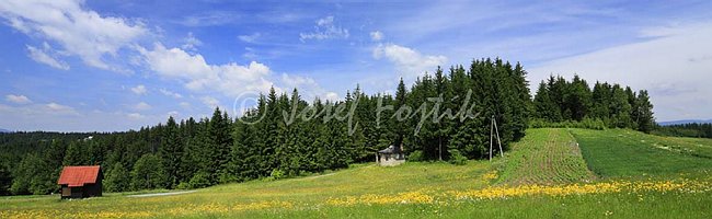 IMG0158584_pan_325.jpg