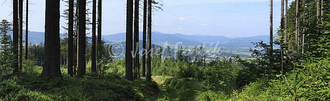 IMG0158614_pan_325.jpg