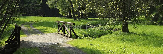 IMG0140822_pan_3.jpg
