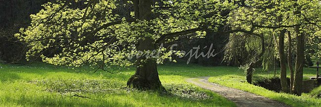 IMG0140830_pan_3.jpg