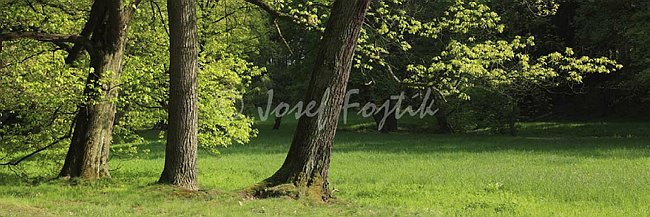 IMG0140841_pan_3.jpg