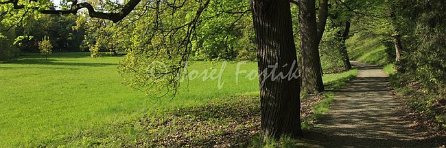 IMG0140861_pan_3.jpg
