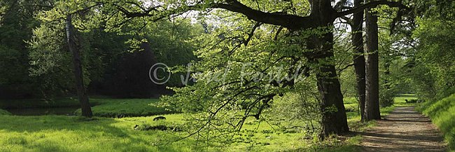 IMG0140869_pan_3.jpg