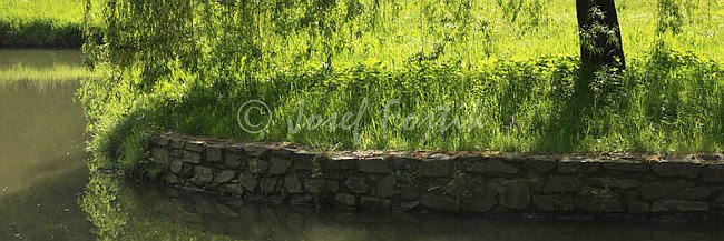 IMG0140876_pan_3.jpg