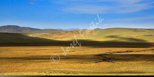PAN0089405_PAN.jpg