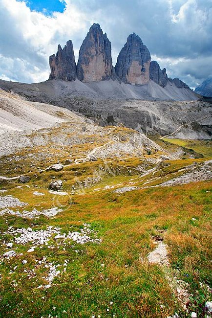 IMG0104470.tif