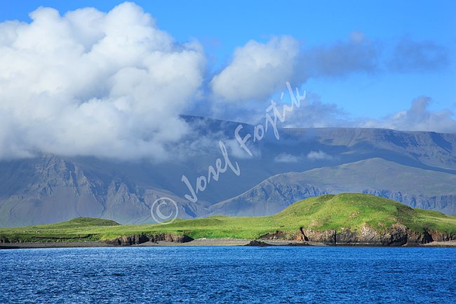 IMG0083243.tif