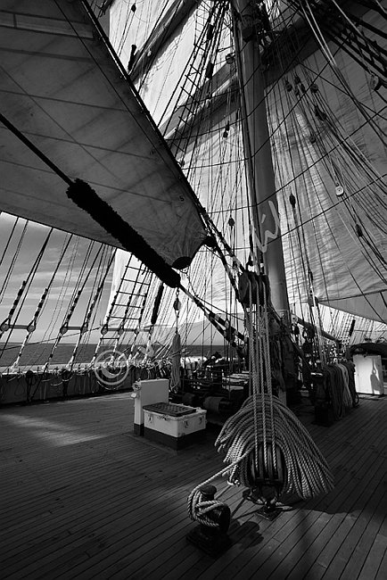 IMG0102536_BW.tif