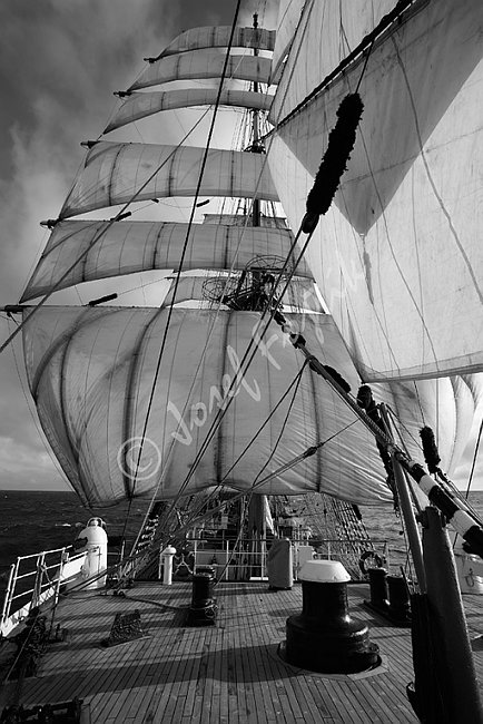 IMG0102556_BW.tif