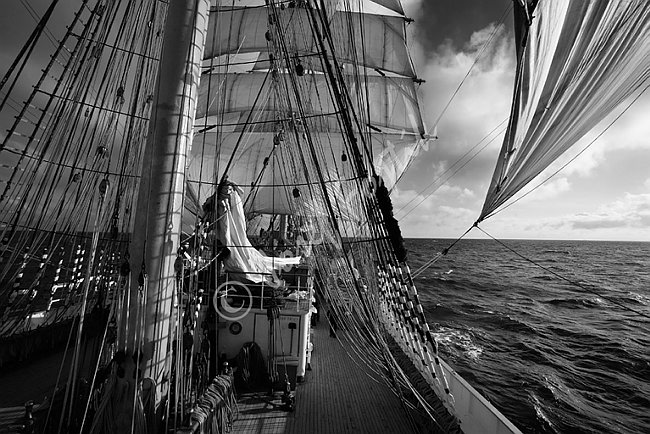 IMG0102575_BW.tif