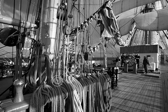 IMG0102585_BW.tif
