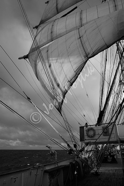IMG0102601_BW.tif