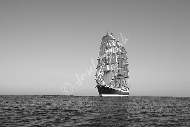 IMG0115902_BW.tif
