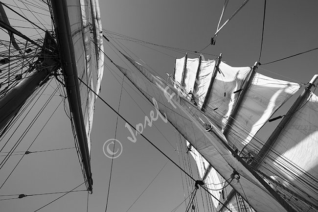 IMG0115981_BW.tif