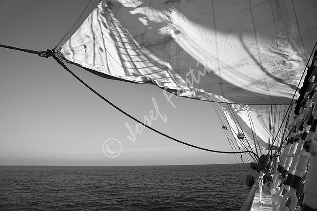 IMG0116007_BW.tif