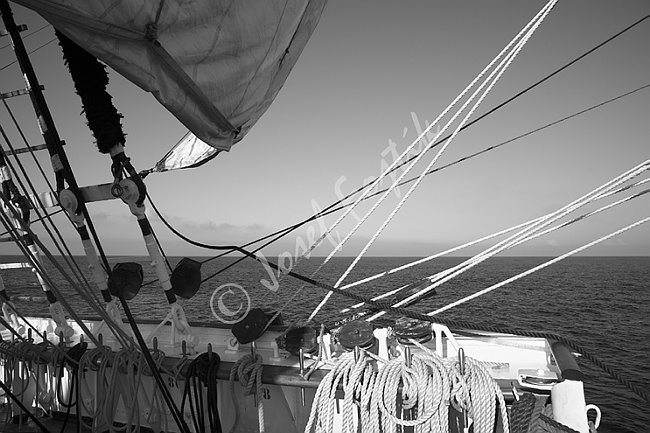 IMG0116009_BW.tif