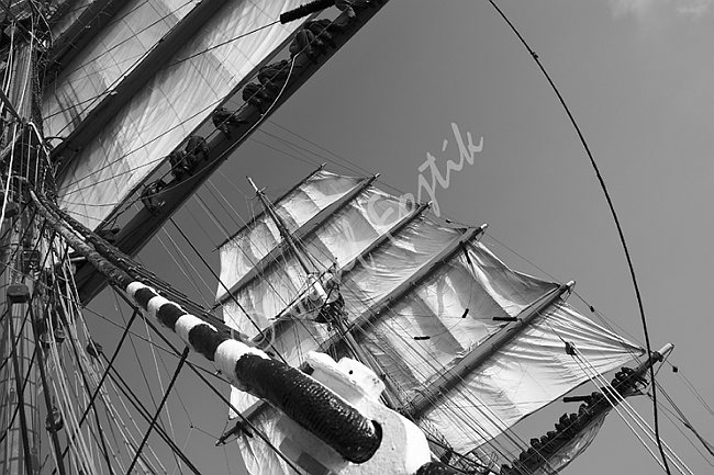 IMG0116033_BW.tif