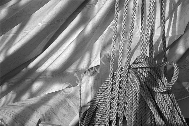 IMG0116041_BW.tif