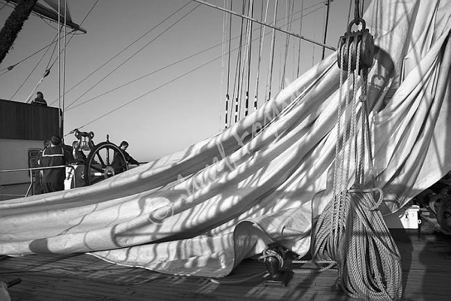 IMG0116042_BW.tif