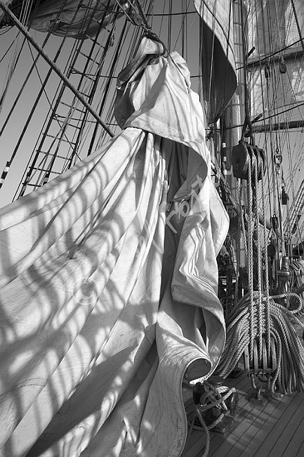 IMG0116044_BW.tif
