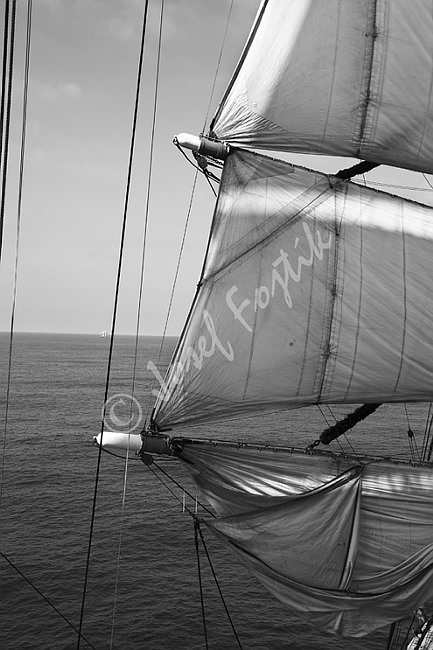 IMG0116786_BW.tif