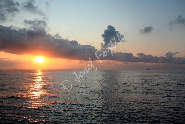 IMG0117088.tif