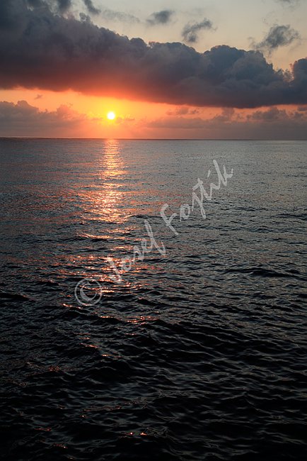 IMG0117111.tif