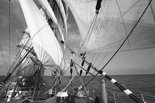 IMG0117460_BW.tif